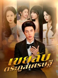 เขยลับตระกูลเศรษฐี (พากย์ไทย)