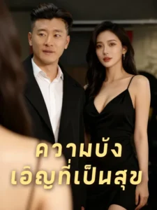 ความบังเอิญที่เป็นสุข (พากย์ไทย)